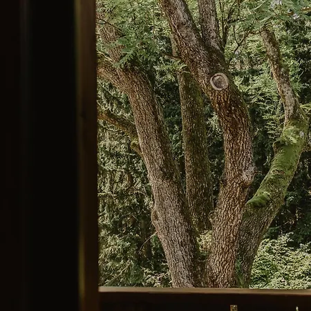 Schronisko Pttk Pod Muflonem Hostel