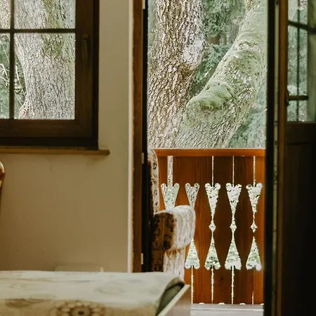 Schronisko Pttk Pod Muflonem Hostel *